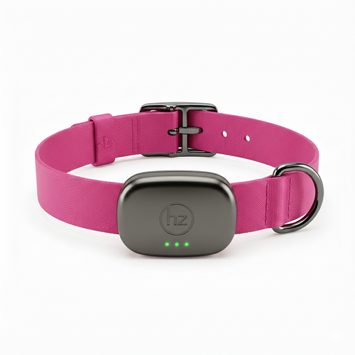 Gemini_Generated_Image_f2gos6f2gos6f2go.png__PID:bd65d6cb-2bf0-41a7-9e73-c64bb63838ee