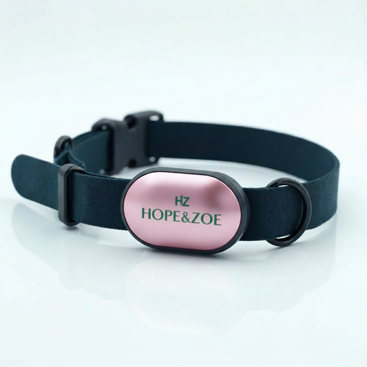 Hope & Zoe Smart Collar