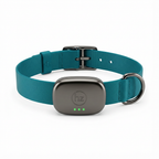Hope & Zoe Smart Collar