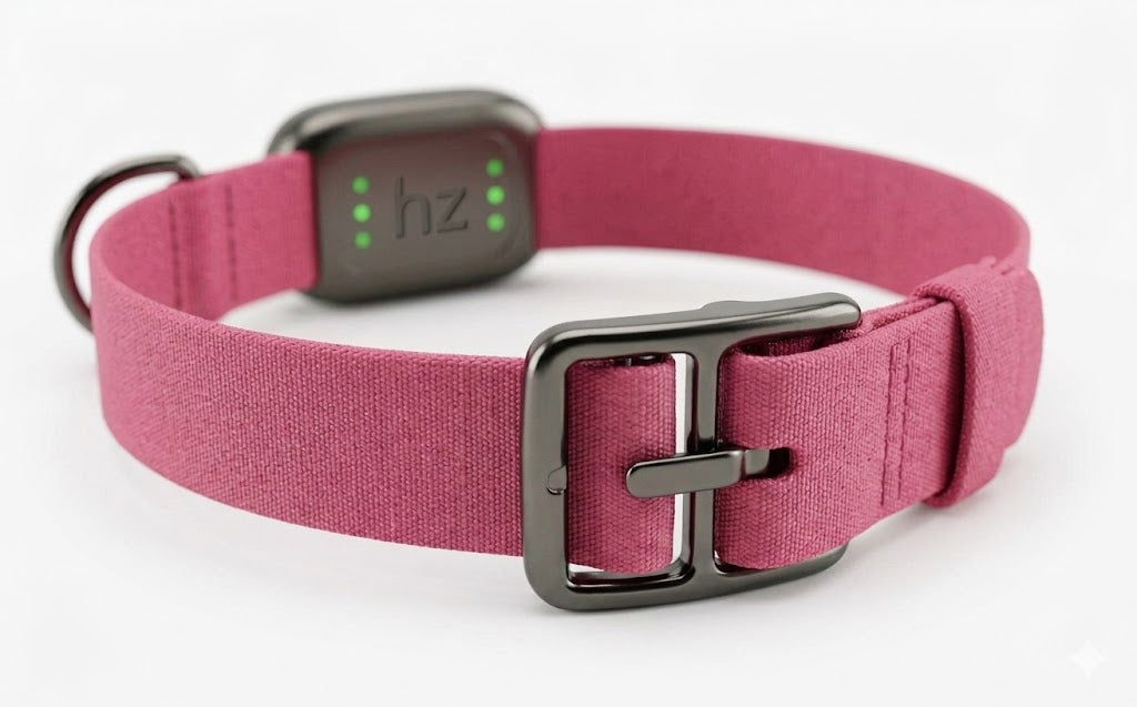 Hope & Zoe Smart Collar