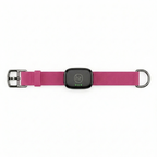 Hope & Zoe Smart Collar